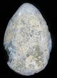 Crystal Filled Celestine (Celestite) Egg - Madagascar #66110-1